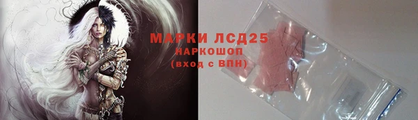 МДПВ Вяземский