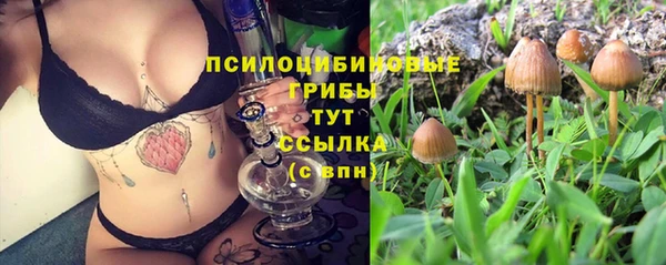 МДПВ Вяземский