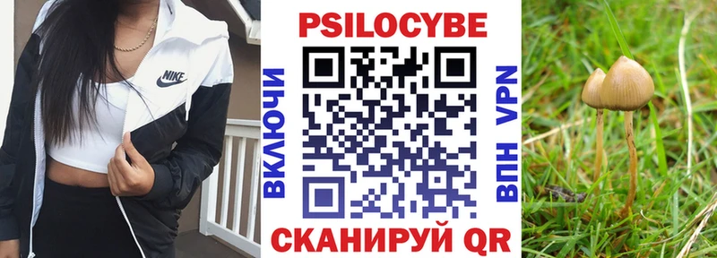блэк спрут ONION  Могоча  Галлюциногенные грибы Psilocybe  купить наркотики сайты 